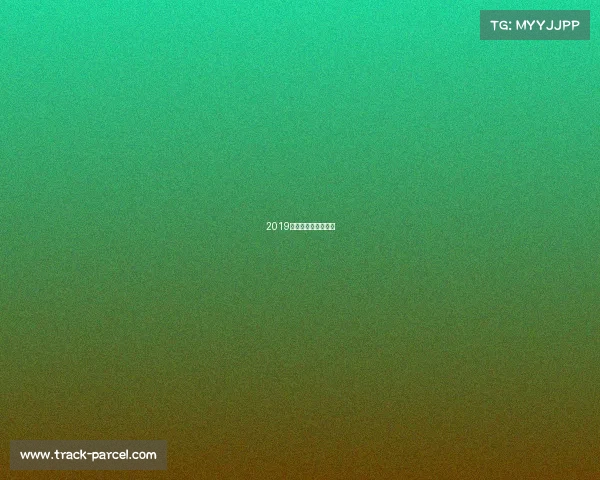 2019北京篮球锦标赛冠军 2019北京篮球锦标赛冠军
