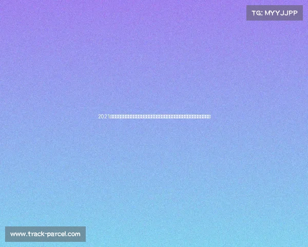 2021武林风比赛地点—武林风最新搏击盛宴震撼开启全球武者汇聚擂台激战巅峰对决热浪席卷