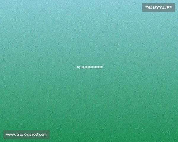 img体育赛事管理、体育赛事运营管理