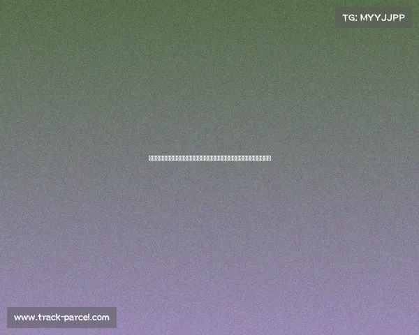 中国退出韩国赛事—中国代表团因外交争端宣布退出在韩国举行的国际体育赛事