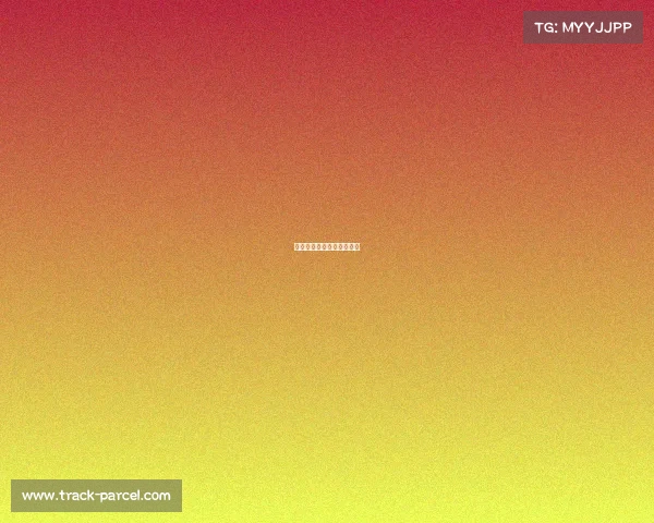 资金筹备和赛事宣传哪个好