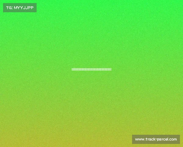 英格兰足球赛事全景：英超足总杯联赛杯绿茵盛宴激情纷呈