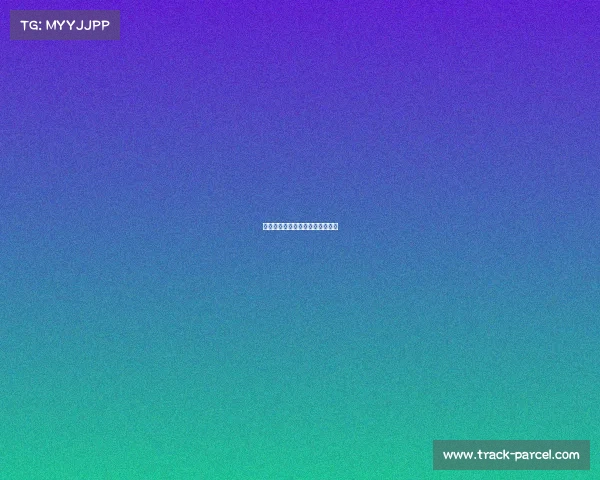 田径体育赛事全方位实用指南大全