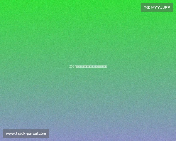 2024年度全球体育赛事全面数据分析与战略评估报告