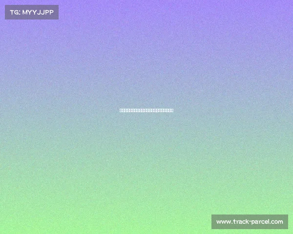 亚冠扑克巅峰之战亚洲顶尖高手智勇争霸荣耀王座