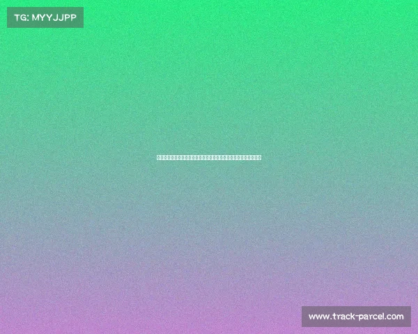 全面解读中国定向运动赛事时间安排关键节点及其应用优化策略探究